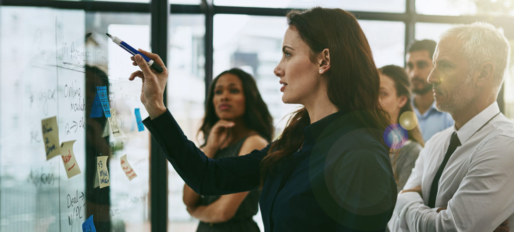 Managing Teams; Influencing; Leading Teams