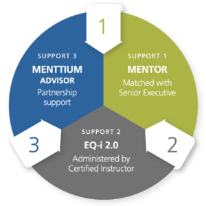 Executive Mentoring Model